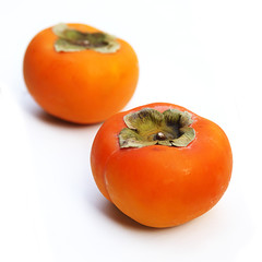 Persimmon