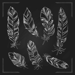 Obraz premium Feathers drawn with chalk on a blackboard