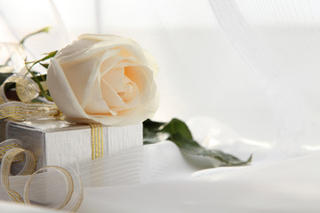 Roses Background