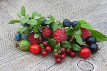 Cowberry, bilberry, gooseberry, blueberry, currant, cherry, rasp