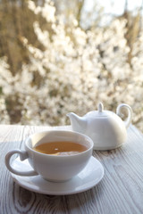 cups of tea on wooden table with blossoming cherry background