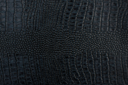 Black crocodile skin texture as a background
