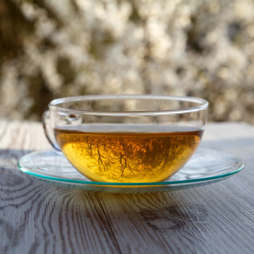 cups of tea on wooden table with blossoming cherry background