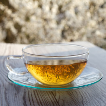 cups of tea on wooden table with blossoming cherry background