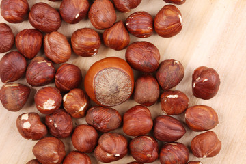 Delicious hazelnuts.