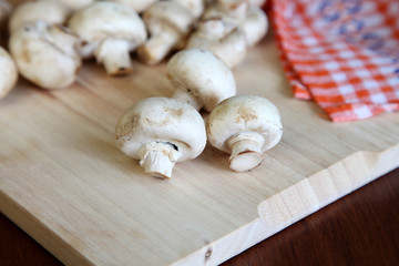 Button mushroom