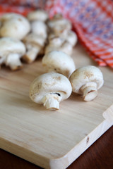 Button mushroom