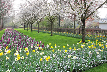 Keukenhof - Garden of Europe, Netherlands