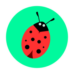 ladybug on a green background