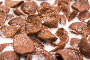 Chocolate Corn Flakes With Milk Close Up