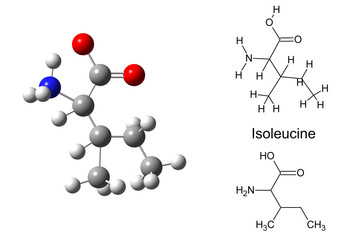 Structural model of isoleucine molecule
