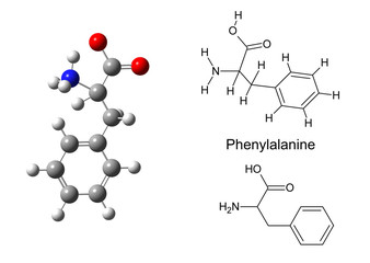 Structural model of phenylalanine molecule