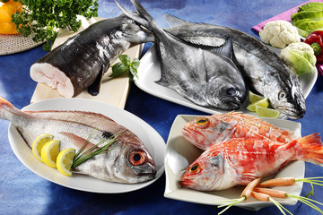 assortedfres fish
