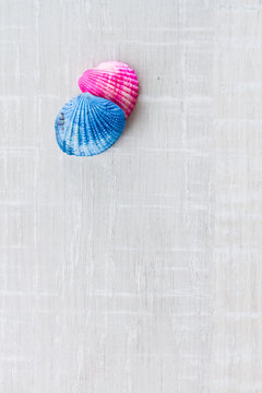 Blue And Pink Sea Shells On The Deck