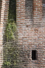 antique ancient walls of castle