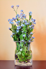 forget me not