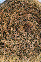 Haystack