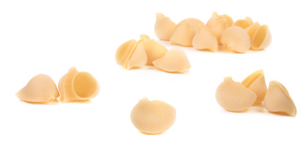Uncooked pasta lumaconi.