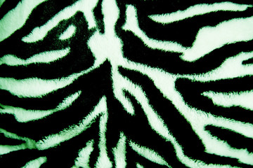 Green zebra animal print fur / fabric wallpaper (background)