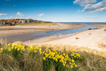 Alnmouth beach in spring
