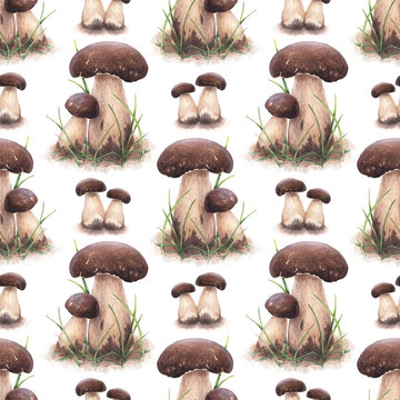Watercolor porcini mushrooms. Seamless pattern