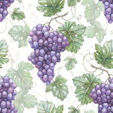 Seamless pattern with watercolor illustration of grapes