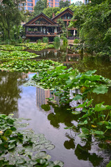 Fototapeta premium Park in Shanghai