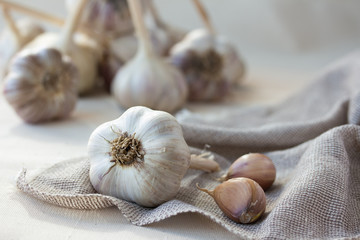 some garlic head and clove on sackcloth