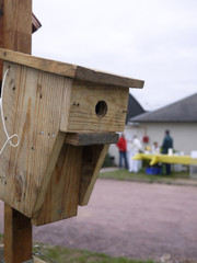 niche à oiseaux