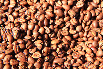 coffee beans background