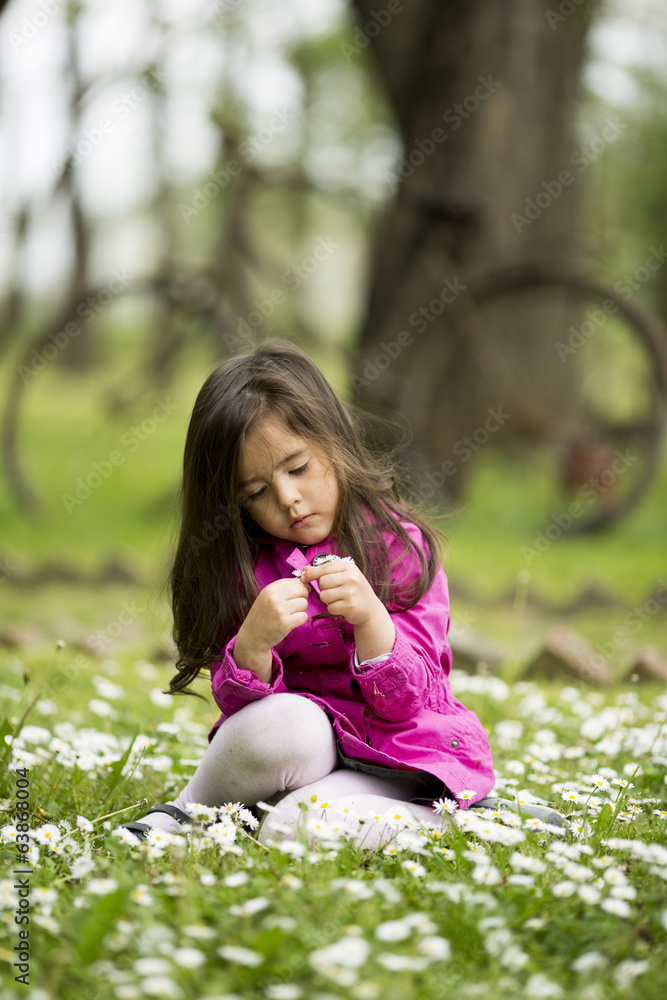 Canvas Prints Little girl in the spring field