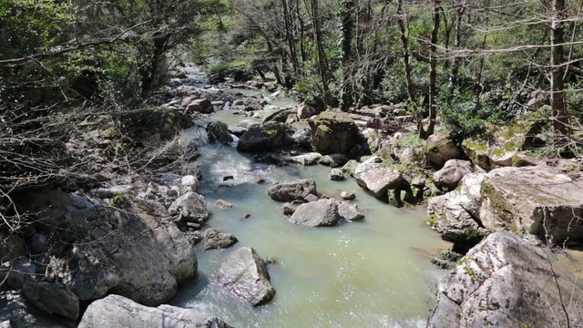 Russia, Krasnodar region, Khosta district, mountain river Agura