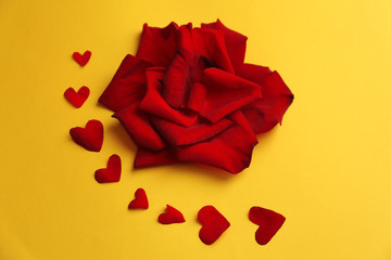 Beautiful red rose petals, on yellow background