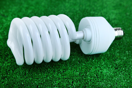 Energy saving light bulb on green grass background