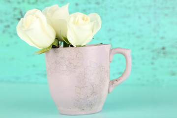 Beautiful roses in cup on blue background