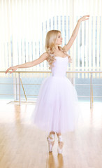 Beautiful balerina dancing in ballet class © Africa Studio