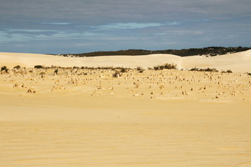 A desert far away