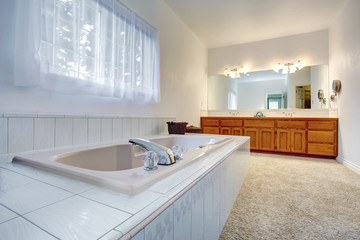 Spacious luxury bathroom