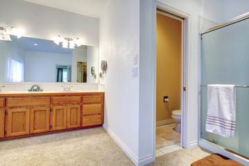 Spacious luxury bathroom