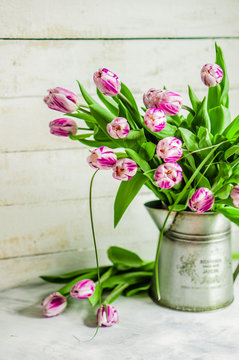 Tulips on rustic wooden background