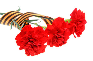Three red carnations tied with Saint George ribbon isolated