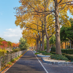 Fototapeta na wymiar Walking Path along side Nagoya Castle in Nagoya