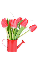 Spring Tulips © zhekos
