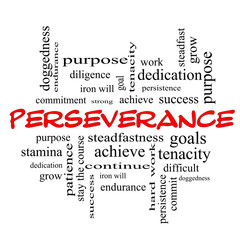 Perseverance Word Cloud Concept in red caps