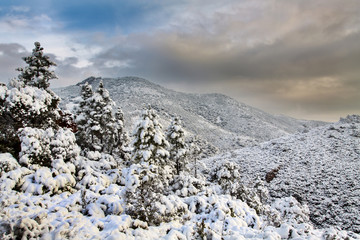 Esterel mountains under snow,  Var department, France