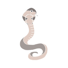 Fototapeta premium Grey snake cartoon - Vector