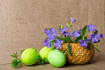 Wicker basket with beautiful blue periwinkle and Easter green eg