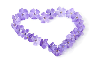 Beautiful blue flowers in a shape of a heart