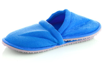 A pair of blue slippers