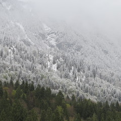 schneefallgrenze in den bergen - die Alpen in Europa